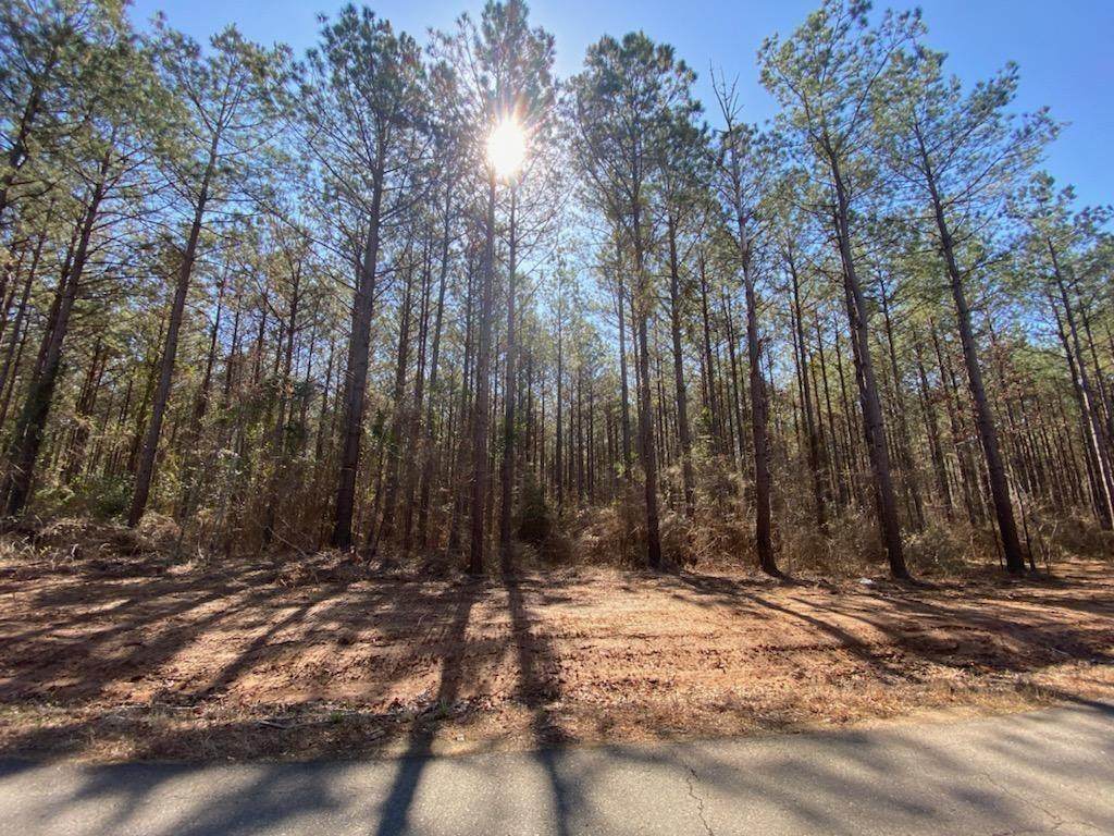 480 Cotton Valley Road - Photo 1
