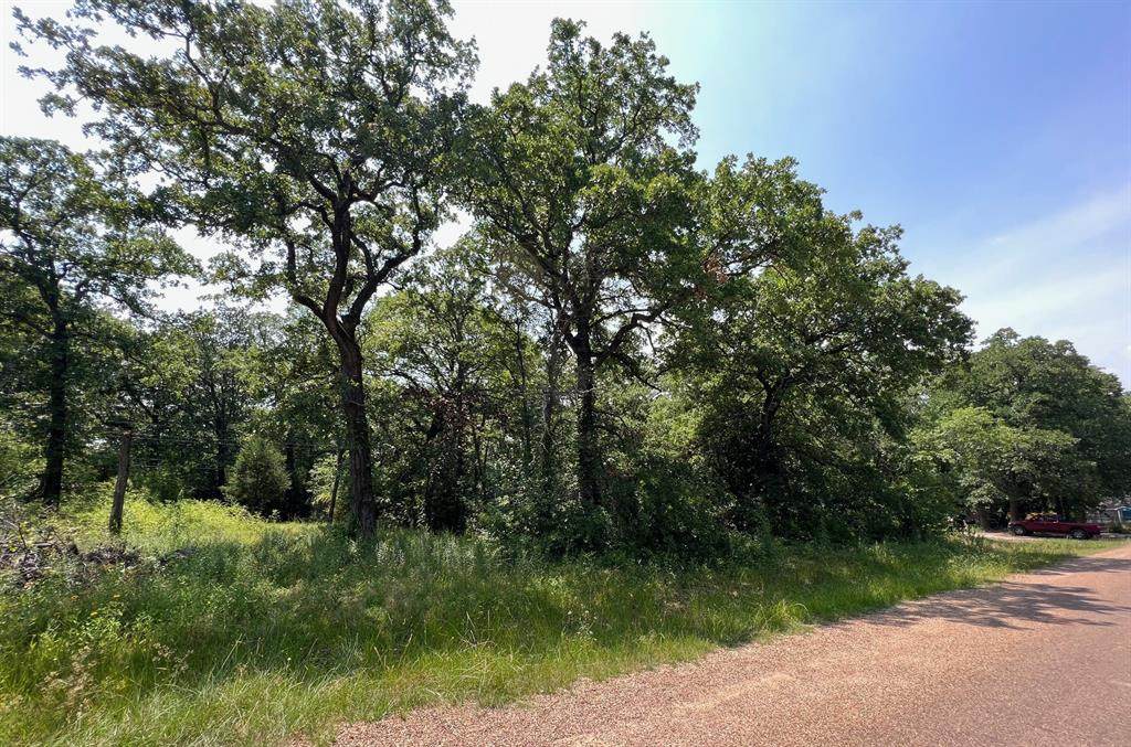 TBD Natchez Trail - Photo 1
