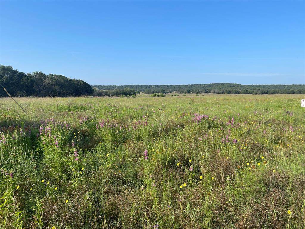 Lot 11 Fm 1690 - Photo 1