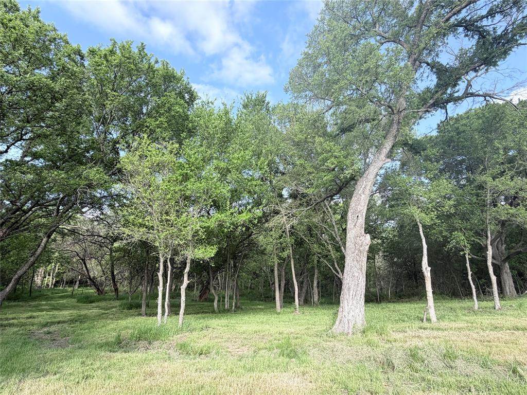 https://bt-photos.global.ssl.fastly.net/ntreis/orig_boomver_1_21232602-2.jpg