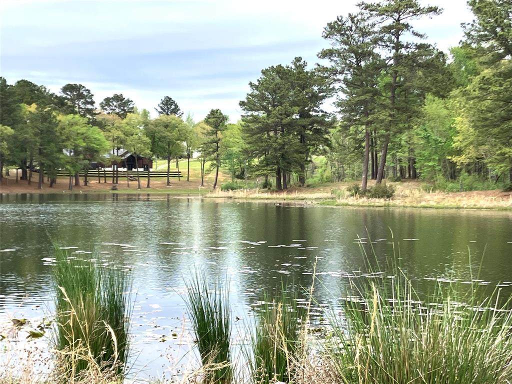 Lot 64 White Oak Creek Ranch - Photo 1