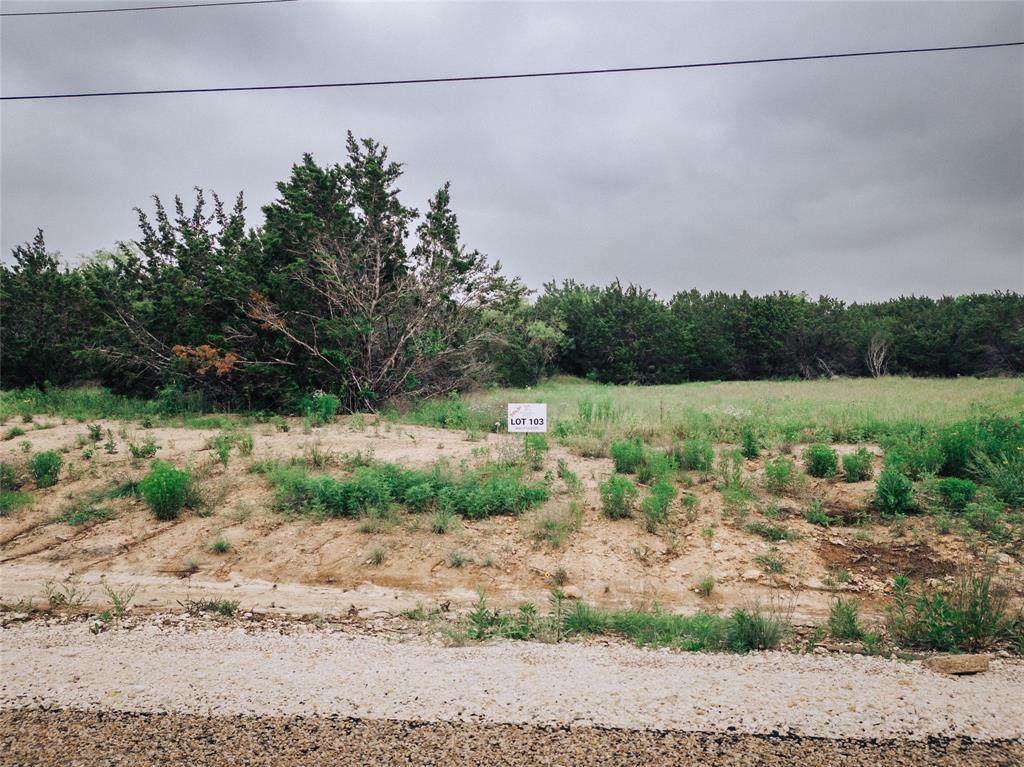 1165 County Road 407 - Photo 1