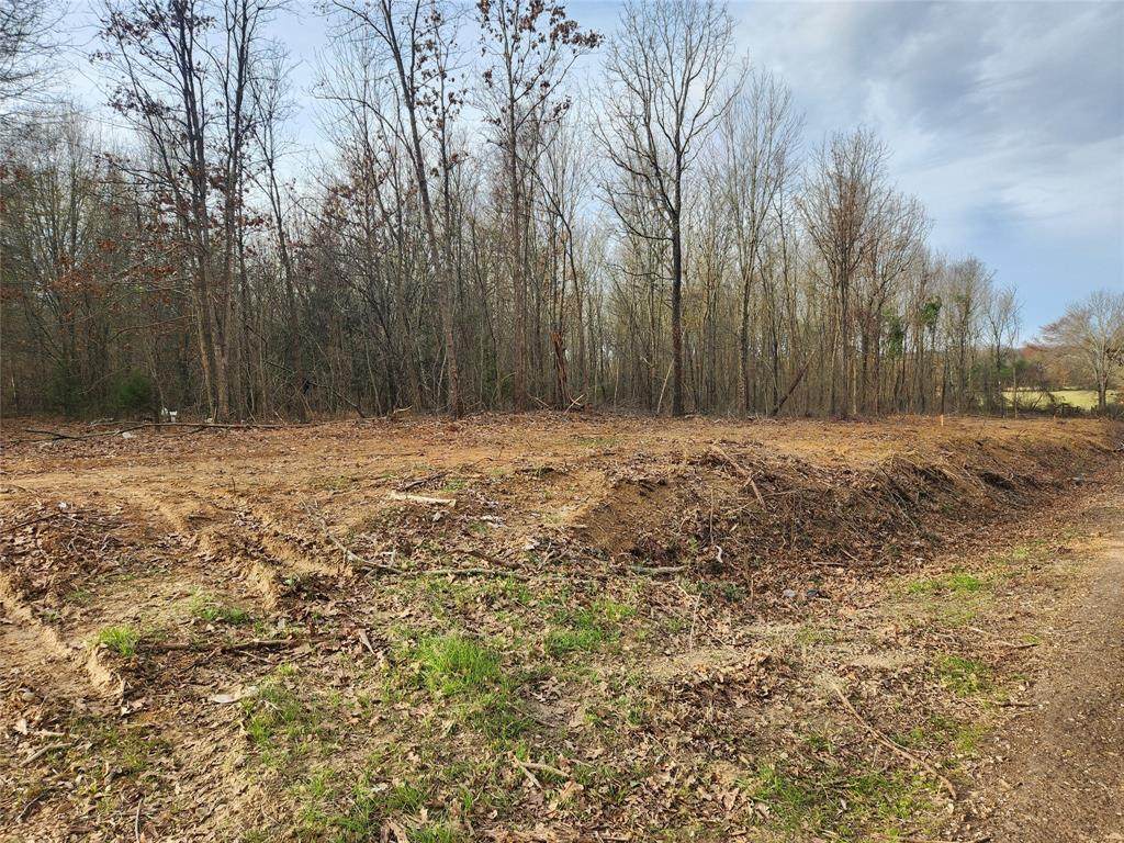 Lot 1 Cr 2310 - Photo 1
