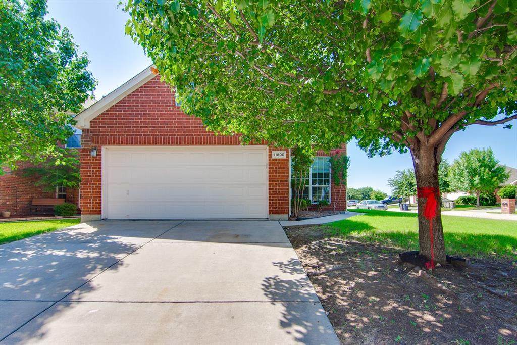 11800 Porcupine Drive - Photo 1