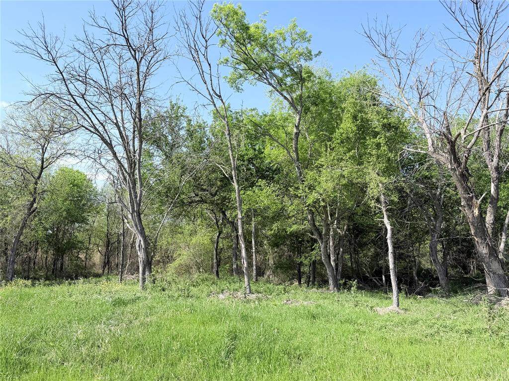 TBD County Road 3204 - Photo 1