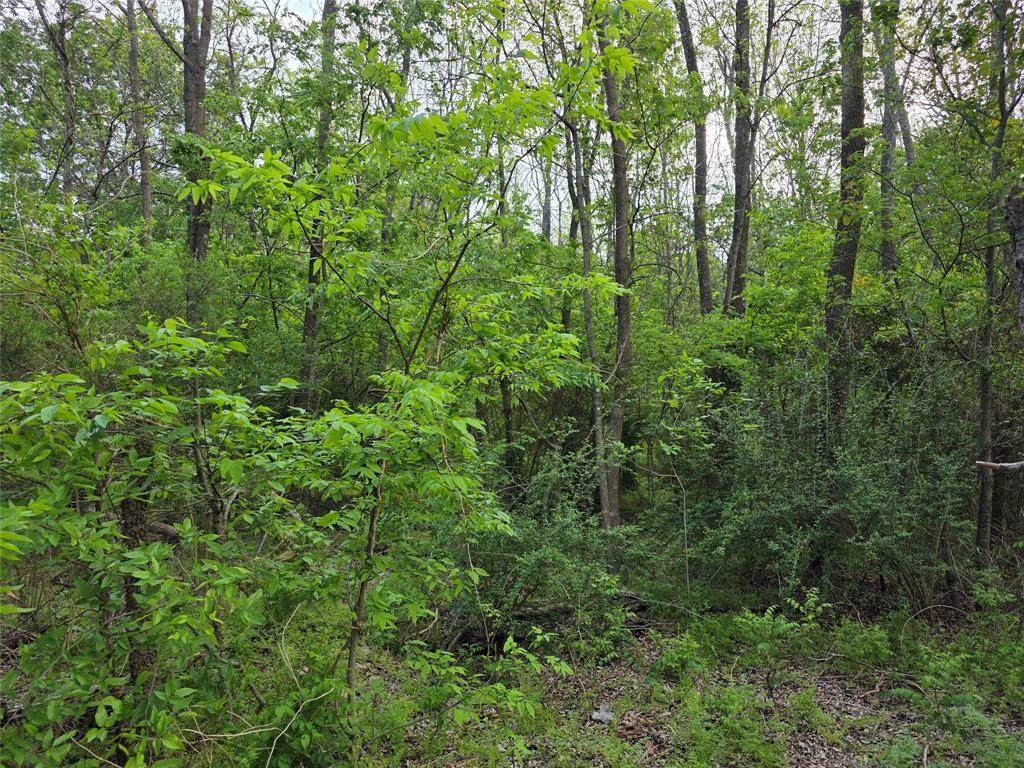 1202 Rosemary Street - Photo 1