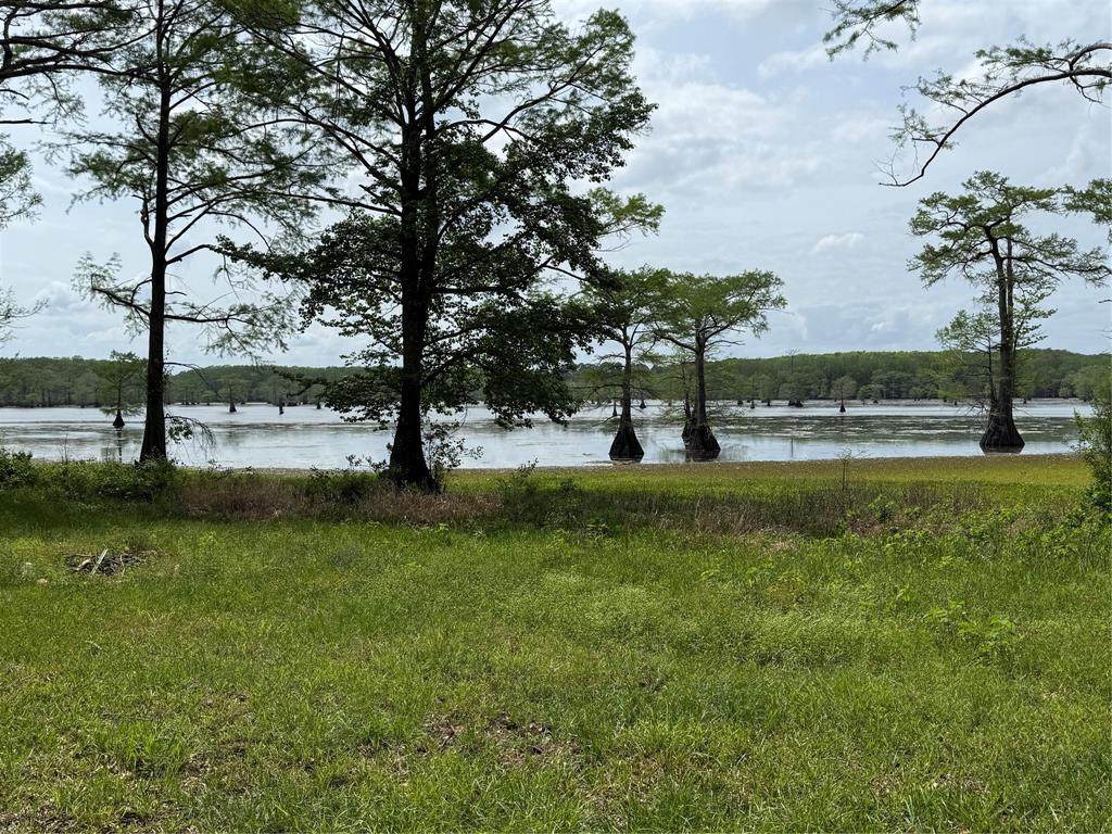 11756 Catfish Road - Photo 1