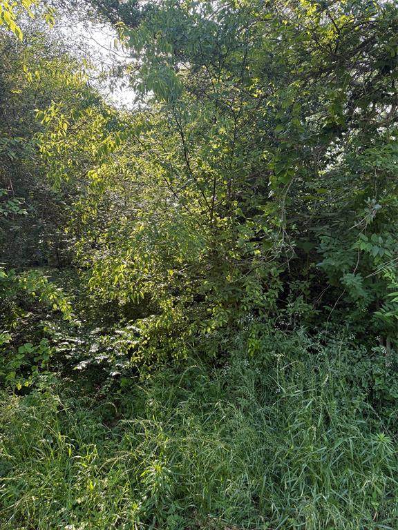 10946 Clover Lane - Photo 1