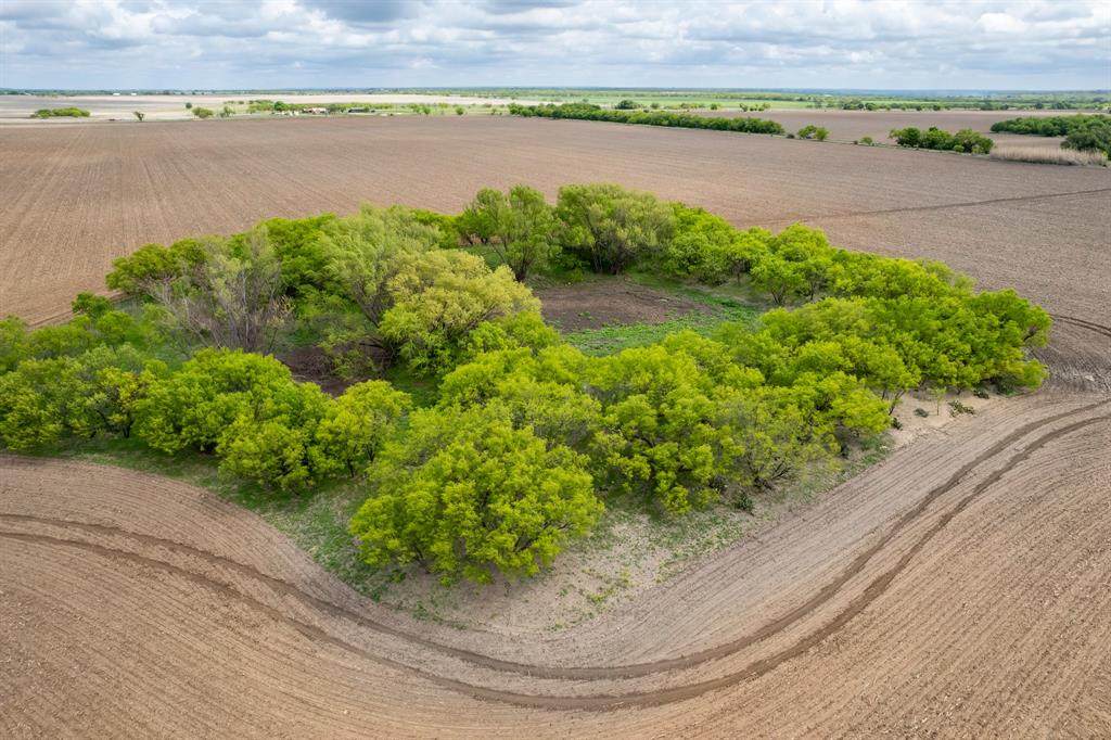 TBD County Road 159 - Photo 1