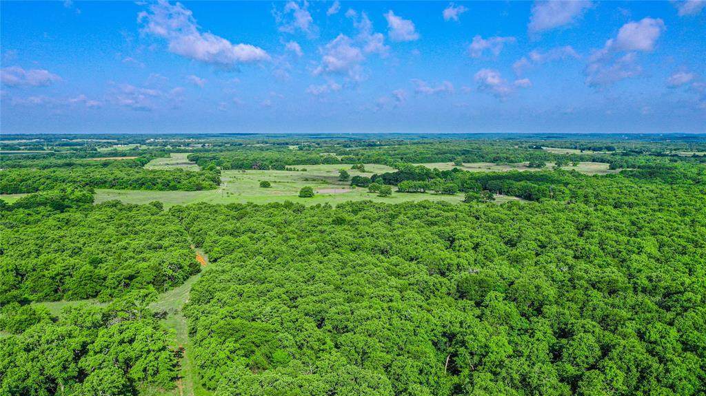 TBD County Road 1792 - Photo 1