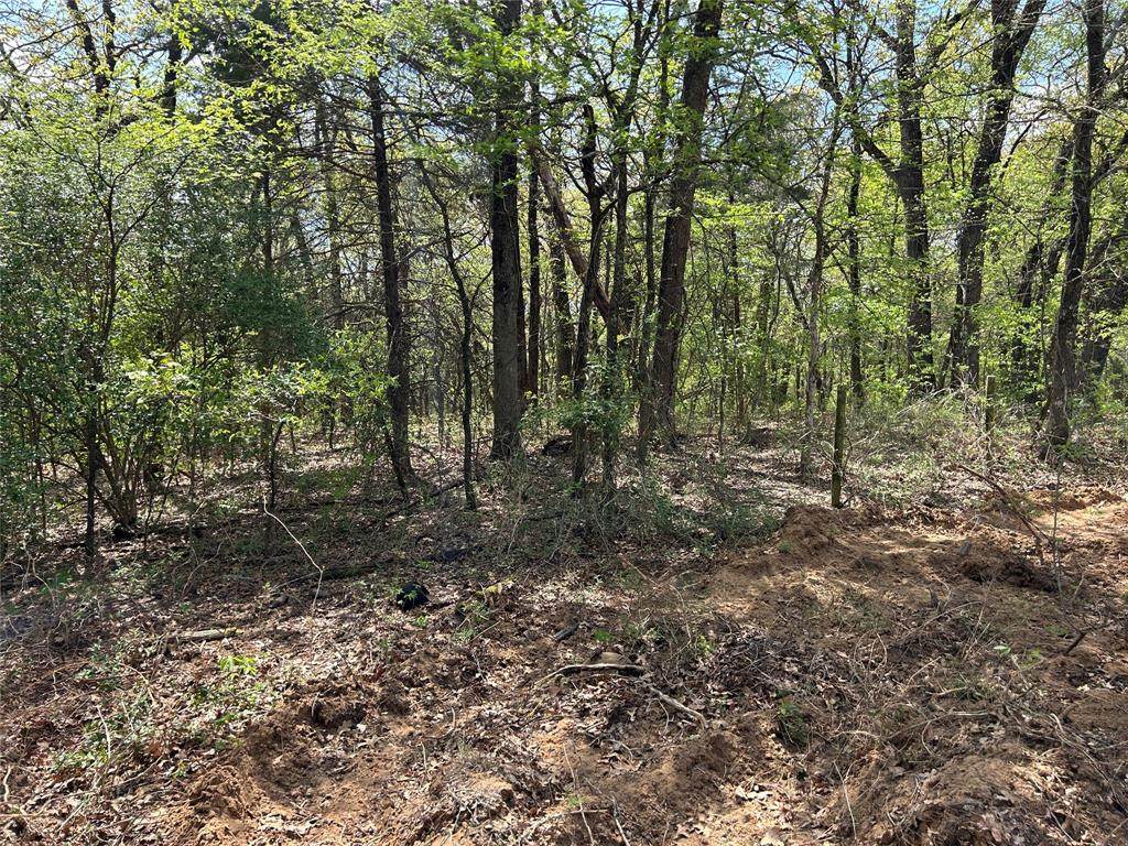 2112 Peterson Road - Photo 1