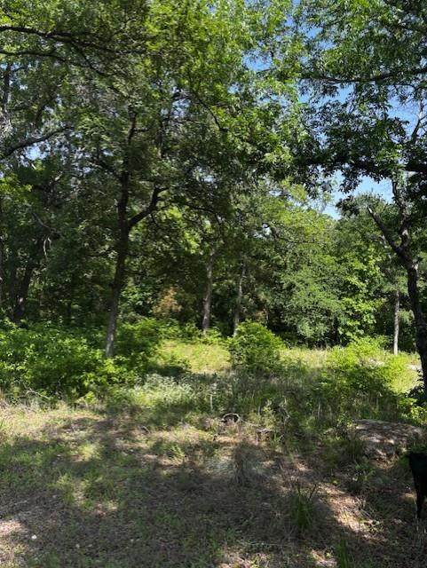 1255 Eagles Bluff Drive - Photo 1