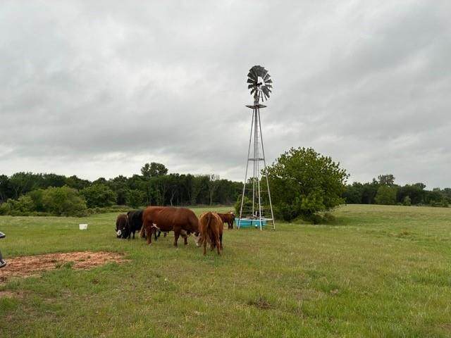 599 Lone Star - Photo 1