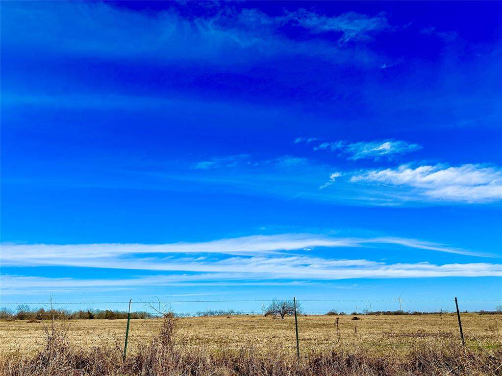 10 ac.  Tract 7 Cr 131 - Photo 1
