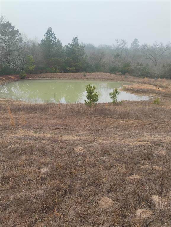 TBD County Road 204 - Photo 1