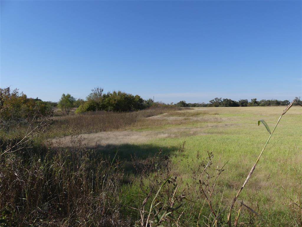 0001 Farm Market 1749 - Photo 1