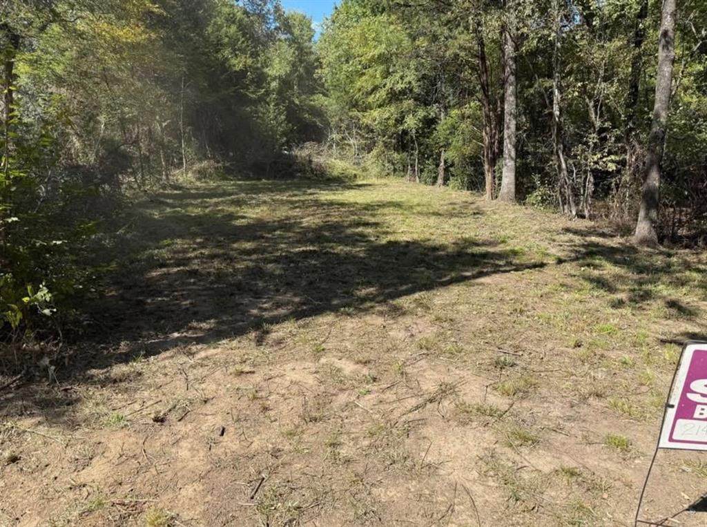 309 Garner Drive - Photo 1