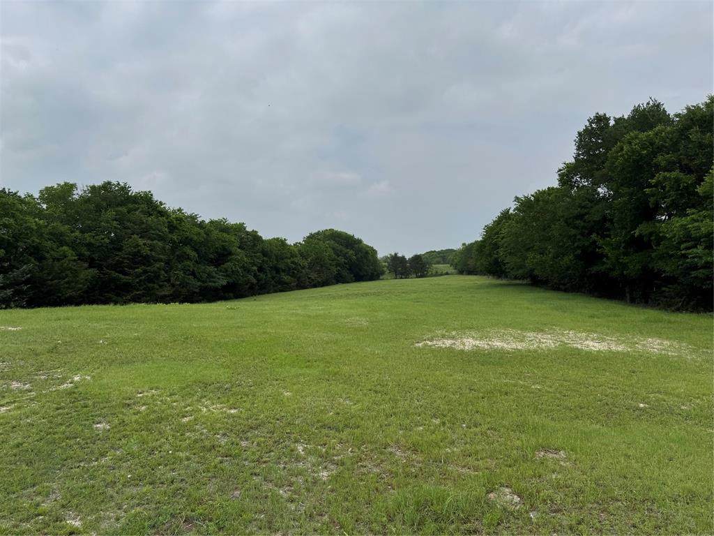 6910 County Road 1218 - Photo 1