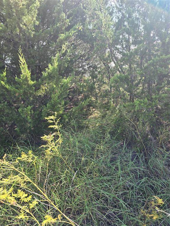 3694 County Road 1103 - Photo 1