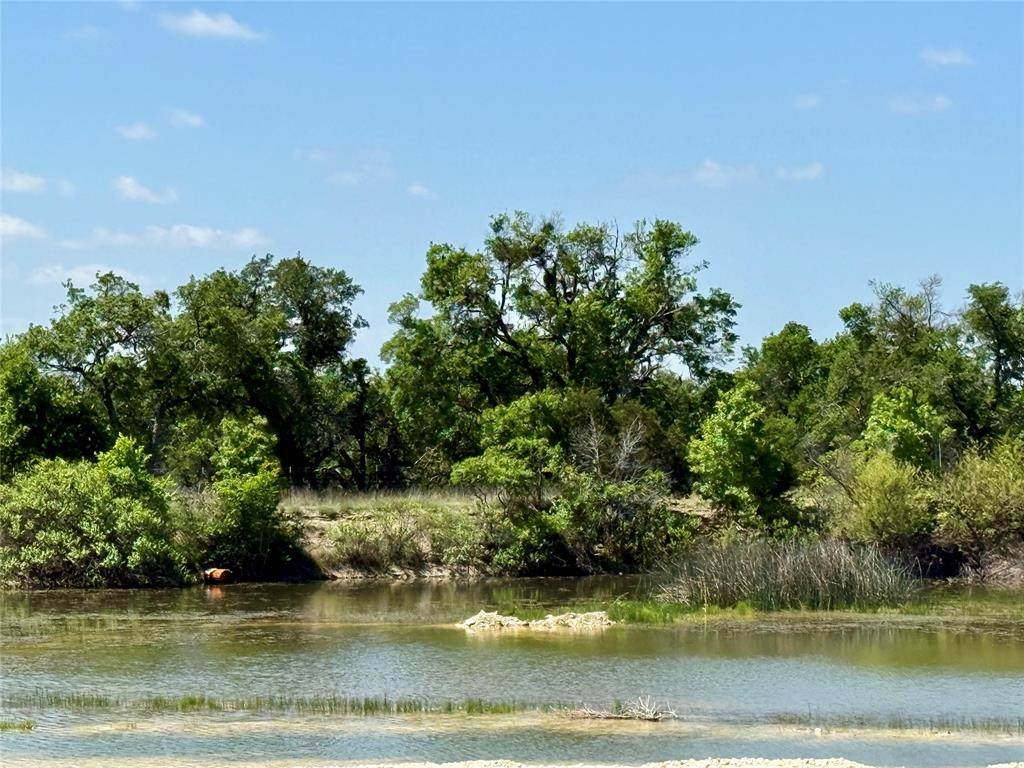 TBD Hwy 67-377 - Photo 1
