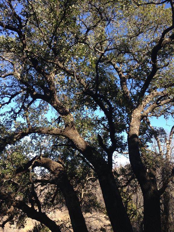 Lot 694 Balcones Lane - Photo 1
