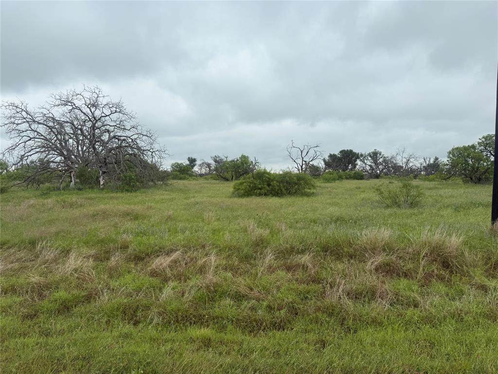 TBD779 Feather Bay Drive - Photo 1