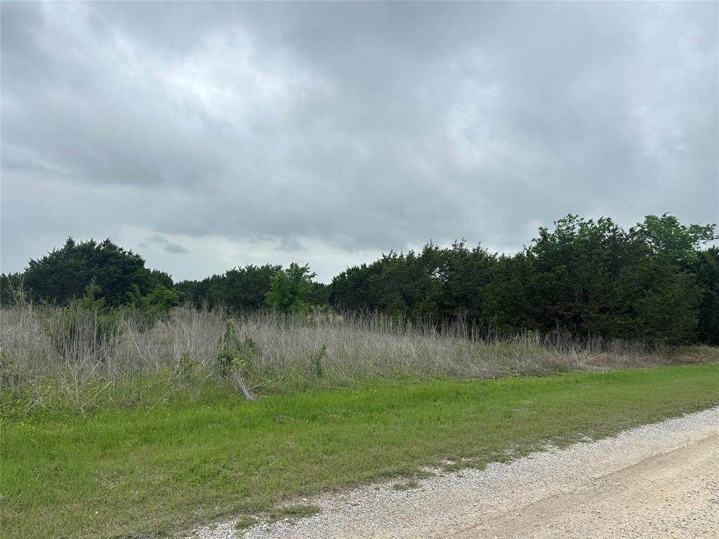 36068 Cedar Ridge Drive - Photo 1