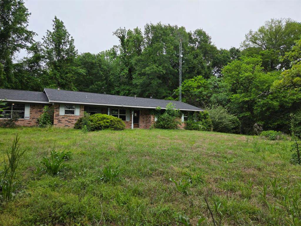7515 Us Highway 80 - Photo 1