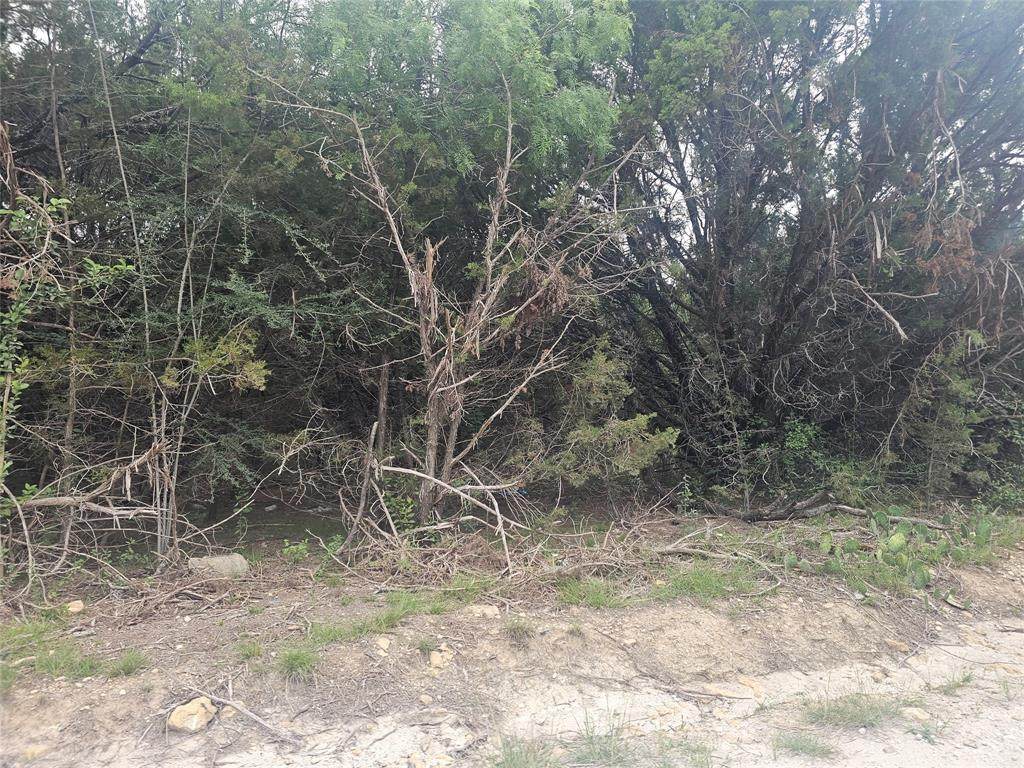 TBT Elm Branch - Photo 1