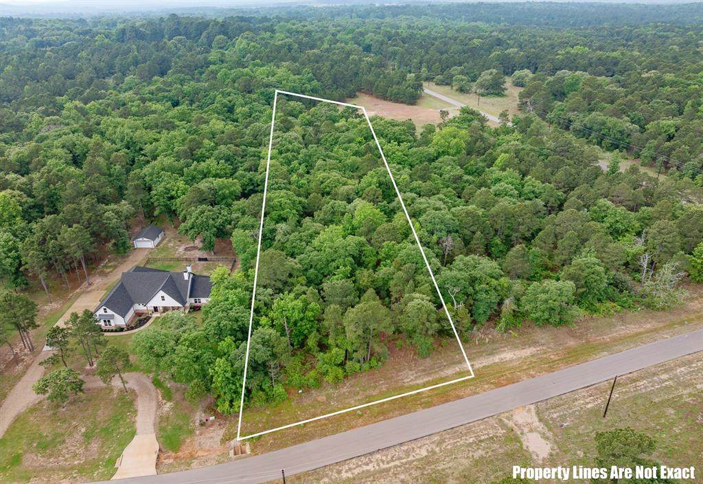 3121 Shadow Pines - Photo 1