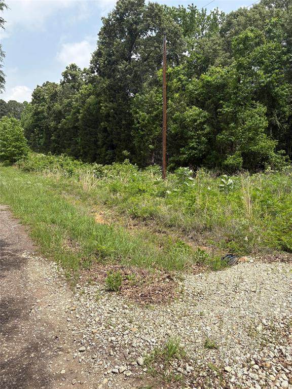 0 County Road 4112 - Photo 1