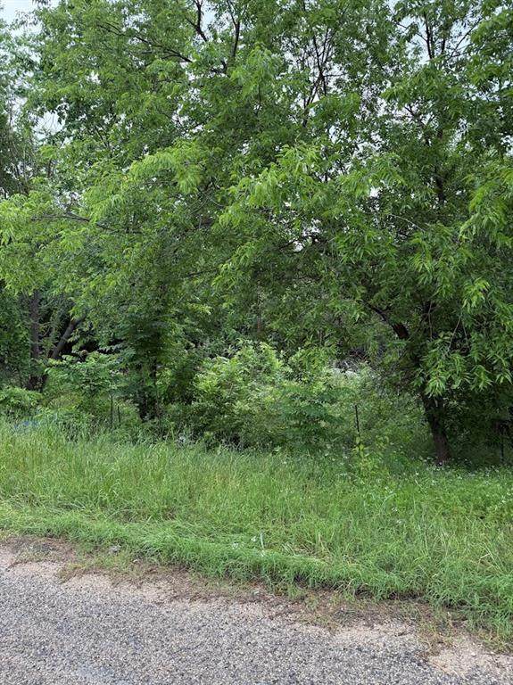 7419 Cottonwood Creek Road - Photo 1