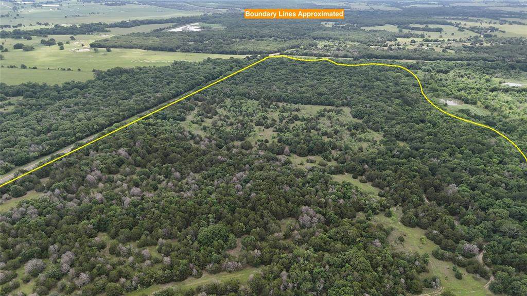 TBD 125 Acres Fm 642 - Photo 1