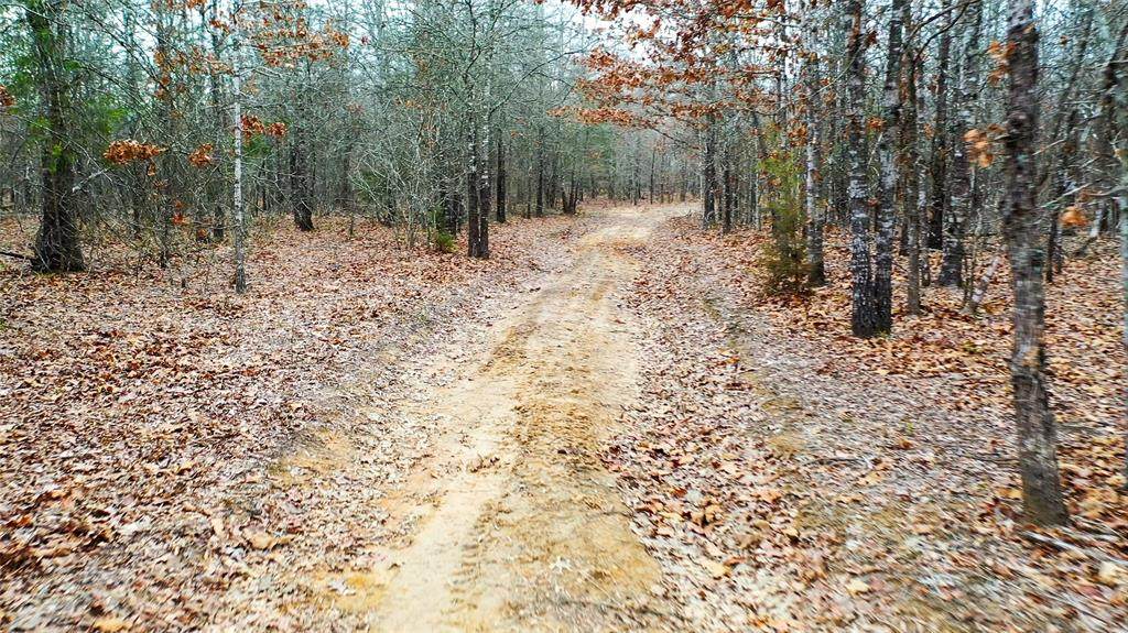 1200 County Road 1255 - Photo 1