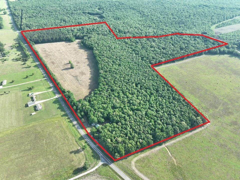 7453 Farm Road 412 - Photo 1