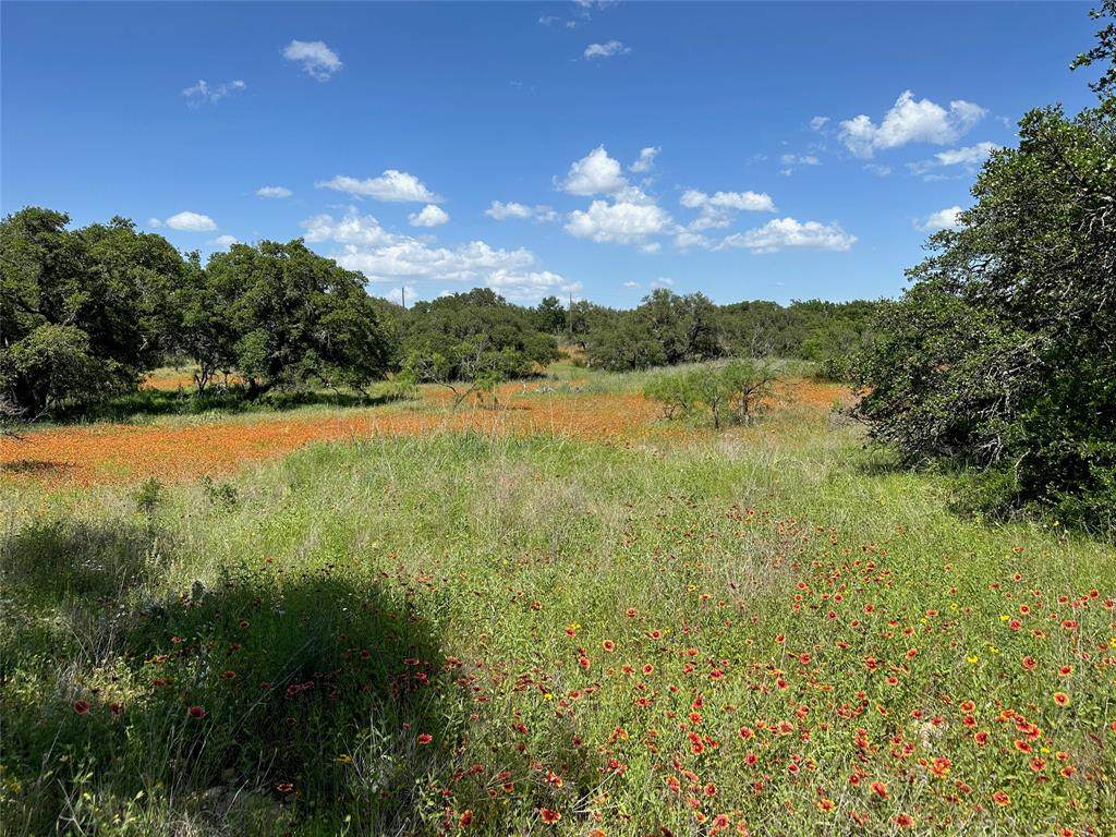 1079 Lake Breeze Drive - Photo 1