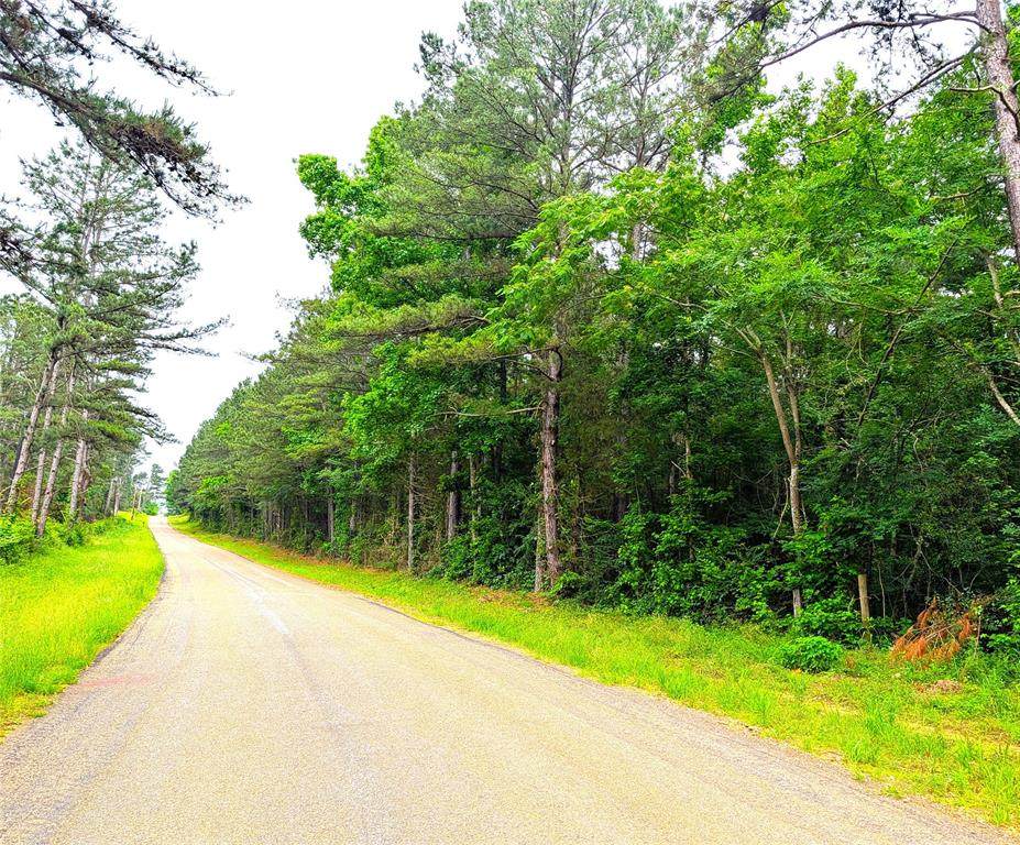 1931 County Road 4101 - Photo 1