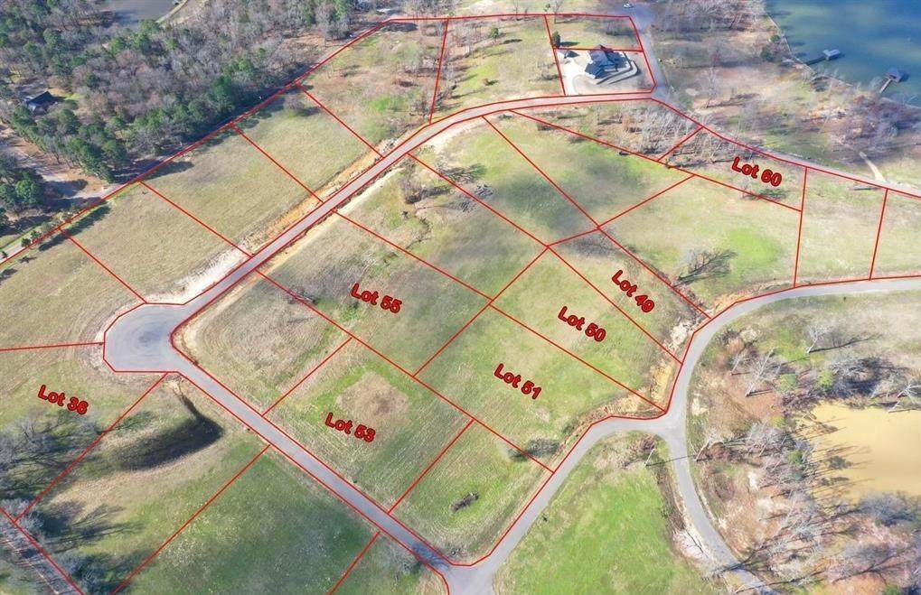 Lot 51 Southshores - Photo 1