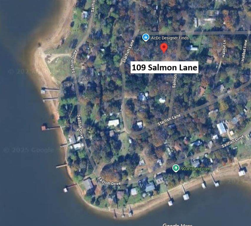 107 Salmon Lane - Photo 1