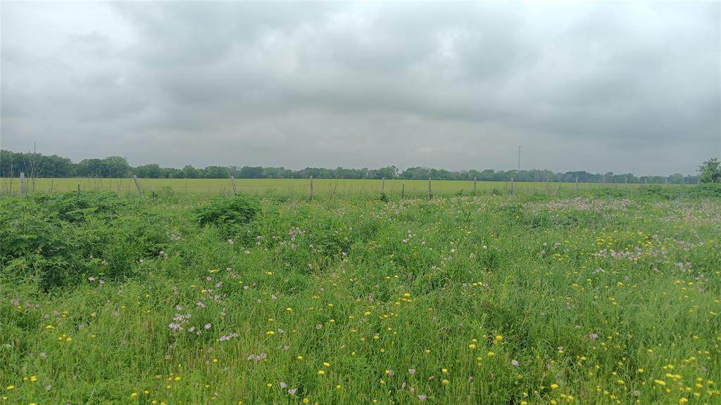 TBD Cr494n - Photo 1