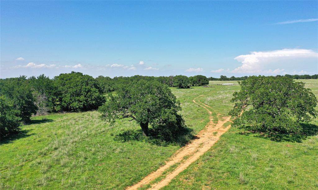 136 Acres Fm 2127 - Photo 1