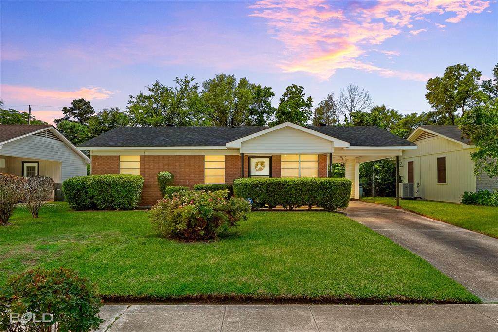 541 Sally Ann Drive - Photo 1