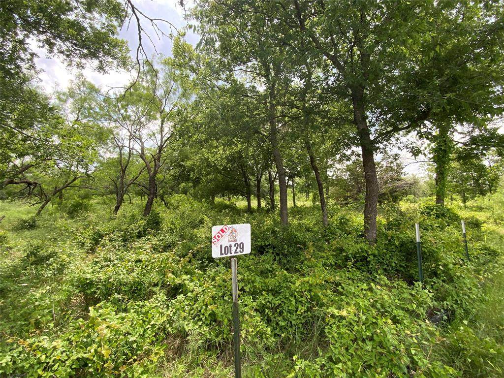 Lot 29 Twisted Creek Drive - Photo 1