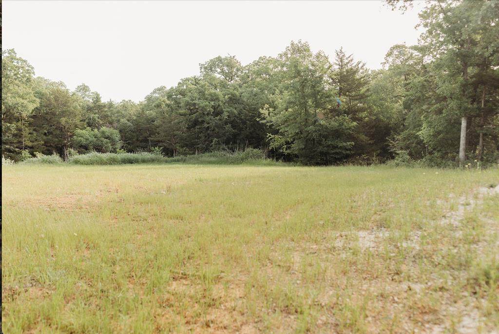 137 Yucatan Village Court - Photo 1