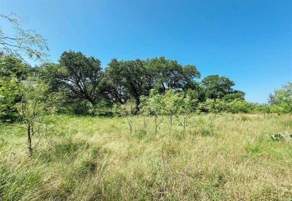 Lot 6 Morris Sheppard Drive - Photo 1