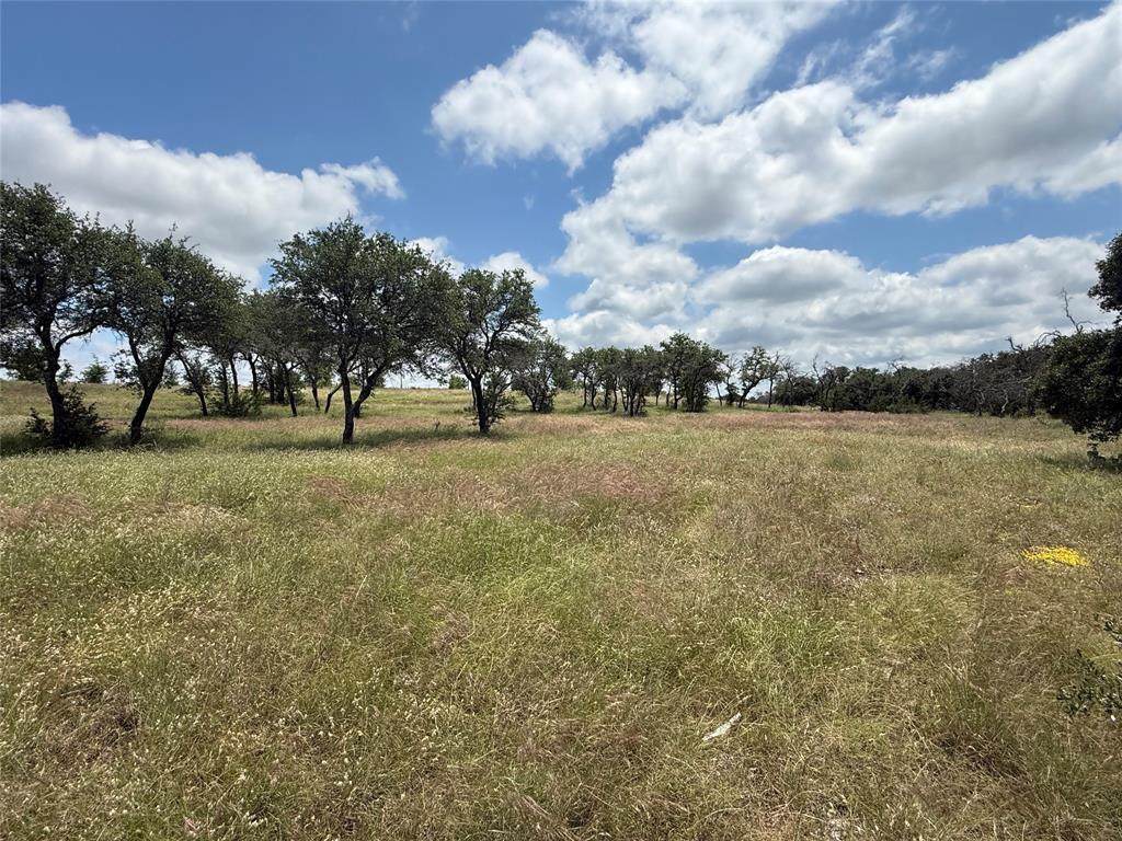 10131 Horizon View - Photo 1