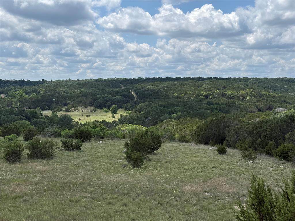 10151 Horizon View - Photo 1