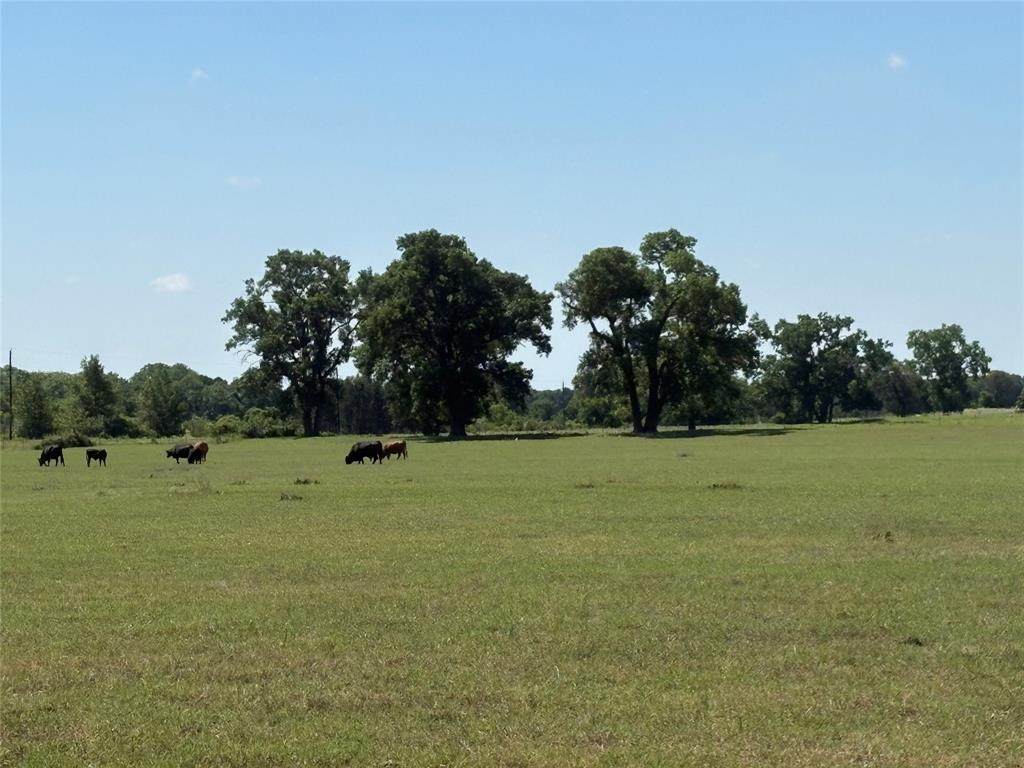 2966 Highway 679 - Photo 1