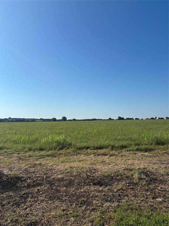 TBD Boz Road - Photo 1