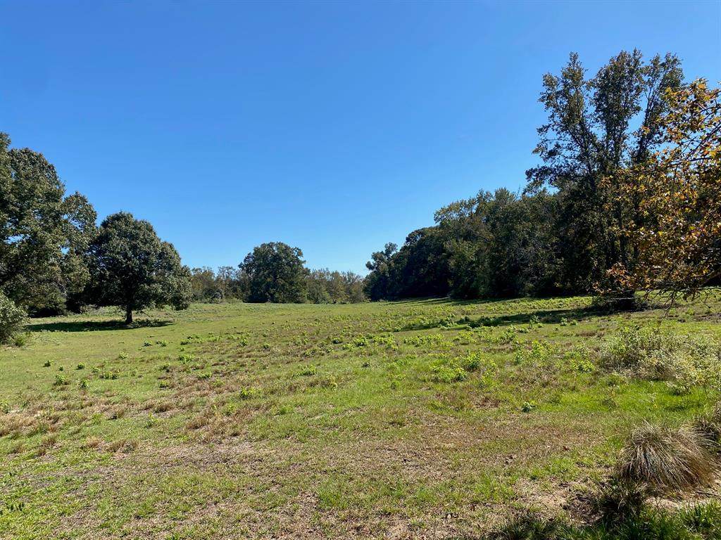 TBD 007 County Road 242 - Photo 1